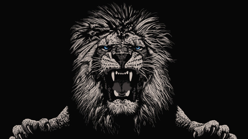 Lions Collection